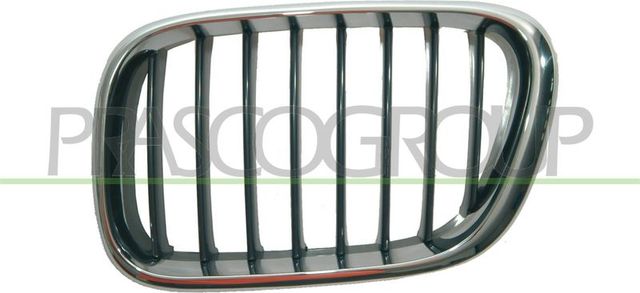 Решетка радиатора Prasco левый для BMW X5 I (E53) 2000-2003. Артикул BM8202004