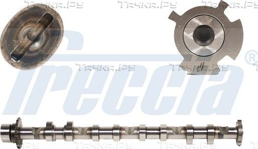 Распредвал Freccia для Audi A3 II (8P) 2003-2008. Артикул CM05-2248