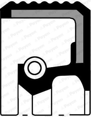 Сальник Payen (PTFE (политетрафлуороетилен)/ACM (полиакрил-каучук)). Артикул NA5204