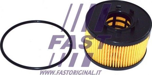 Масляный фильтр Fast для Jaguar X-Type I 2003-2009. Артикул FT38086