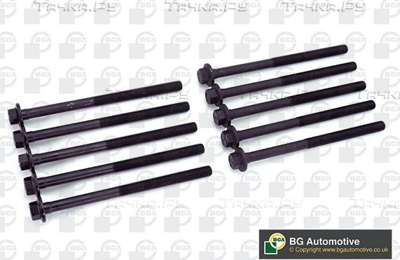 Комплект болтов ГБЦ BGA для Cadillac BLS 2006-2009. Артикул BK4349