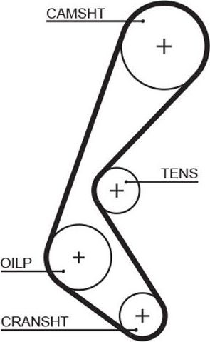 Ремень ГРМ Gates PowerGrip® для Fiat Palio I 1996-2003. Артикул 5628XS