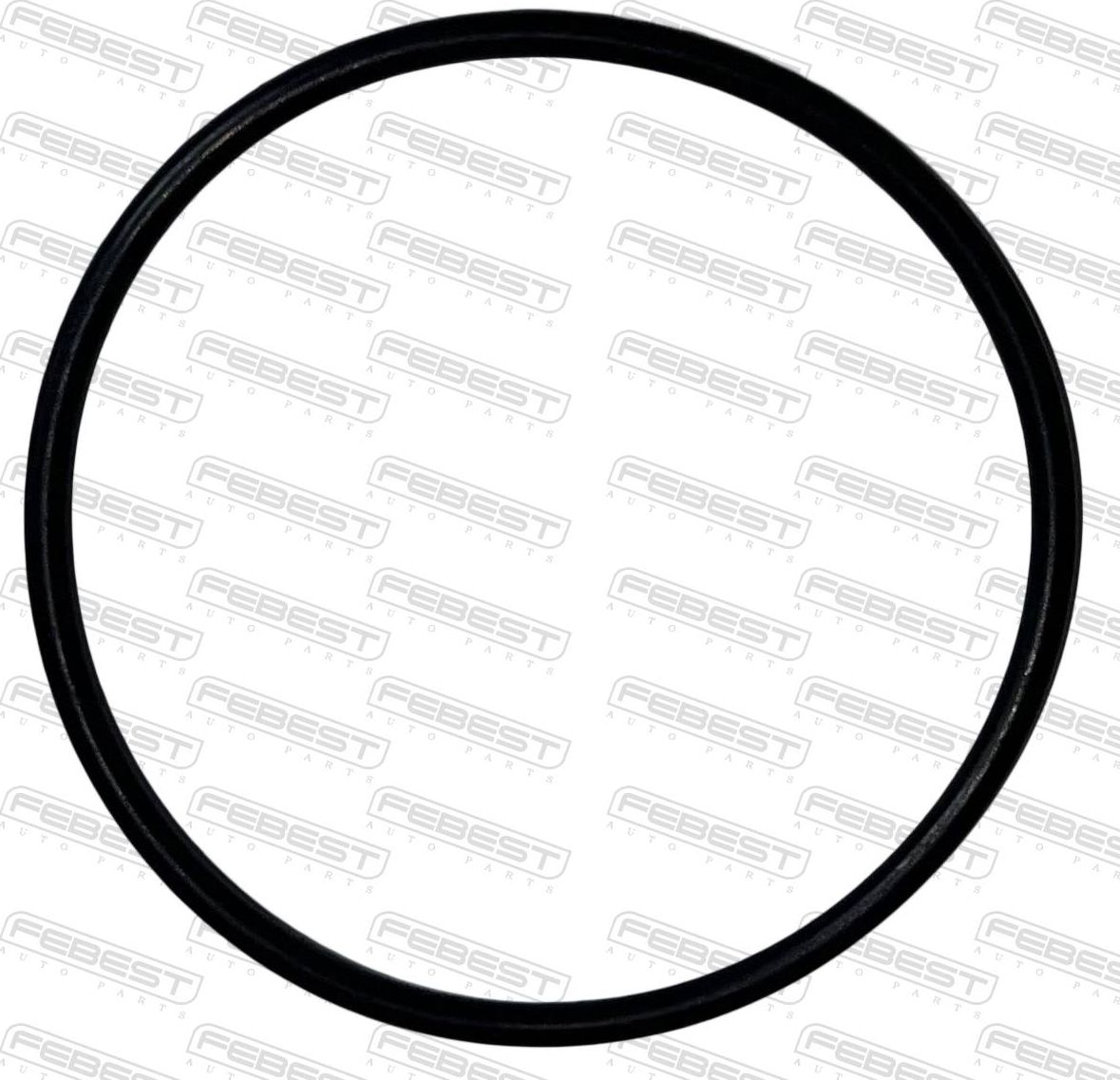 КОЛЬЦО УПЛОТНИТЕЛЬНОЕ ВАКУУМНОГО НАСОСА 55X2.62 Febest. Артикул 19400-002