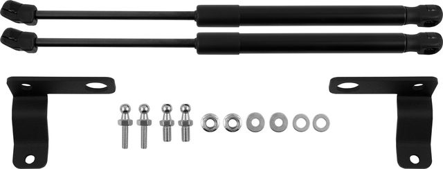 Амортизаторы (упоры) капота Faw Besturn T77 2018-2026. Артикул ARBORI.HD.058102