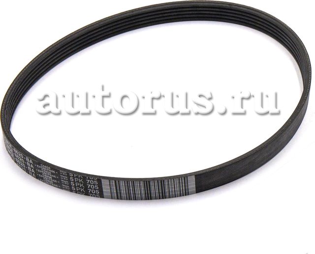 Приводной ремень поликлиновой Ford. Артикул 5113695