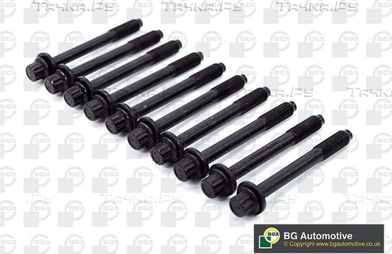 Комплект болтов ГБЦ BGA для Kia Sorento I 2002-2011. Артикул BK4341