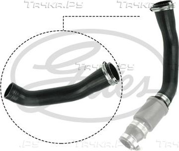 Патрубок интеркулера Gates для Ford Transit Torneo VII 2007-2014. Артикул 09-0631