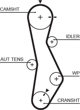 Ремень ГРМ Gates (HNBR (Hydrierter Acryl-Nitril-Butadien-Kautschuk)). Артикул 5579XS