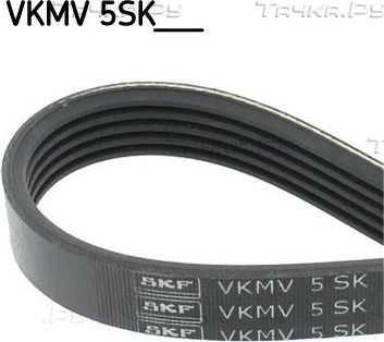 Приводной ремень поликлиновой SKF для Ford C-MAX I 2003-2010. Артикул VKMV 5SK868