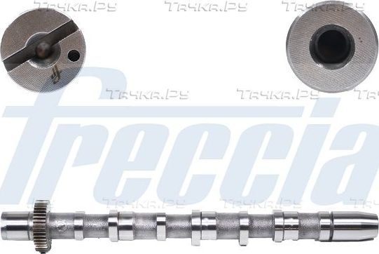Распредвал Freccia для Audi A6 II (C5) 2000-2005. Артикул CM05-2189