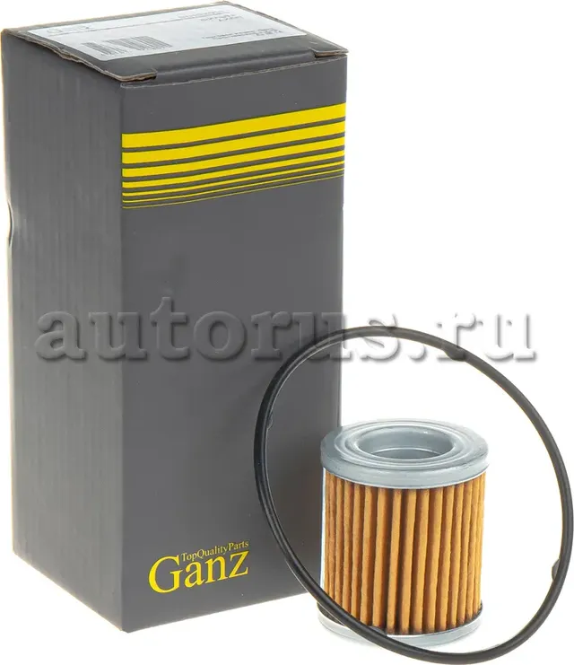 Фильтр АКПП (Ganz). Артикул GIH02015