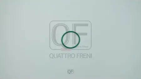 КОЛЬЦО УПЛОТНИТЕЛЬНОЕ ТОПЛИВНОГО НАСОСА (Quattro Freni). Артикул QF76A00113