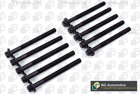 Комплект болтов ГБЦ BGA для Renault Scenic III 2009-2016. Артикул BK3357