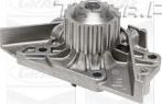 Помпа (водяной насос) Graf для Fiat Scudo I 2002-2006. Артикул PA1044