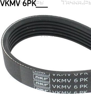 Приводной ремень поликлиновой SKF для Fiat Punto II 1999-2012. Артикул VKMV 6PK815