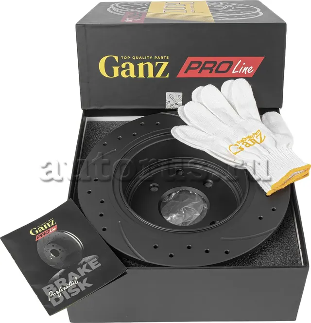 Диск тормозной задний перфорированный PRO-Line с покрытием (компл.2 шт) NISSAN T (Ganz). Артикул GIJ06014S