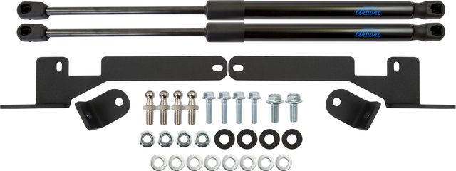 Амортизаторы (упоры) капота Arbori для Kia Soul I 2008-2013. Артикул ARBORI.HD.022113