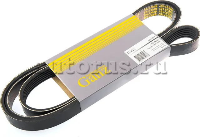 Ремень поликлиновой (Ganz). Артикул GIE37157