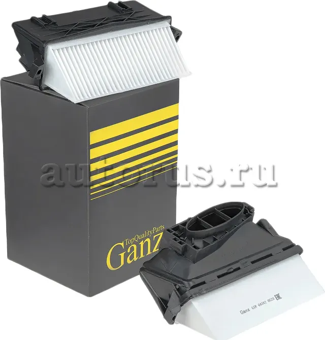 Фильтр воздушный (компл. 2шт) (Ganz). Артикул GIR04342