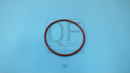 Кольцо уплотнительное топливной системы (Quattro Freni). Артикул qf76a00094