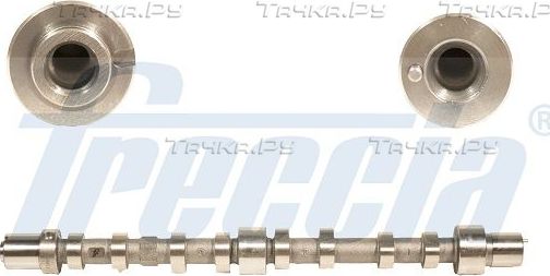Распредвал Freccia для Fiat Ducato II 2002-2006. Артикул CM05-2199