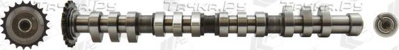 Распредвал AE (Чугун) для Audi A6 II (C5) 1999-2005. Артикул CAM743