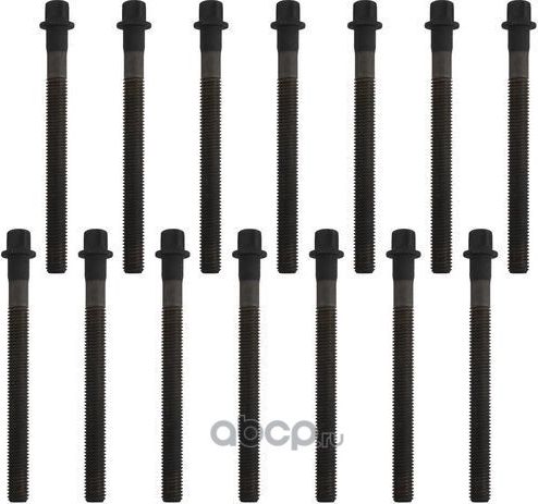 Комплект болтов ГБЦ (Zikmar). Артикул Z16565R