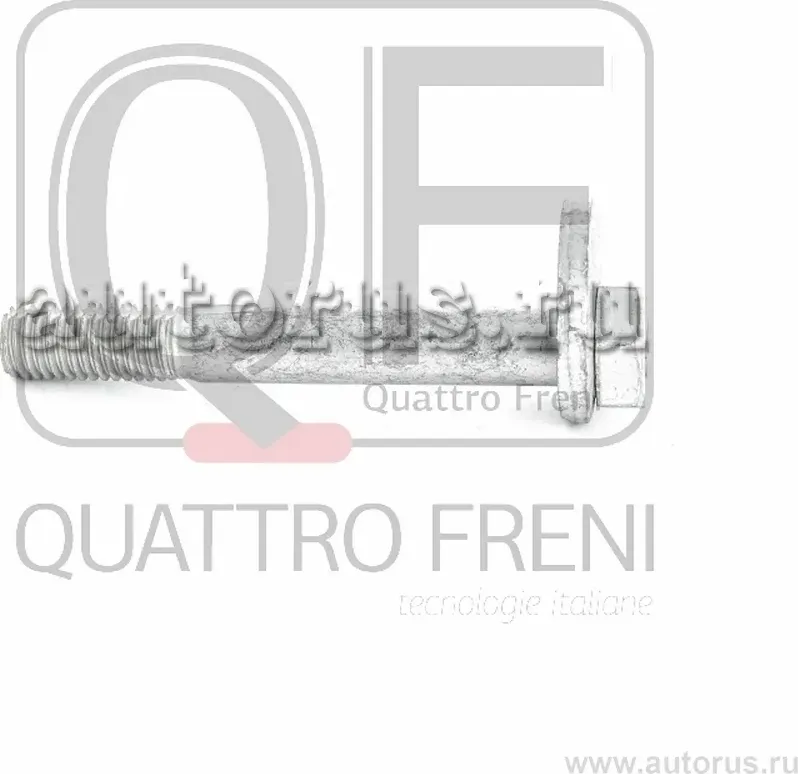 Болт с эксцентриком Ford C-Max  Focus  Kuga  Mondeo (Quattro Freni). Артикул qf00x00032