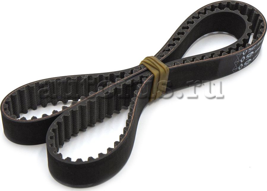 Ремень ГРМ Renault. Артикул 8200542739