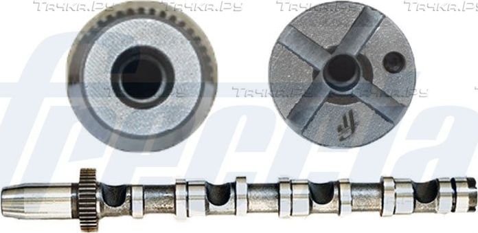 Распредвал Freccia для Audi A6 II (C5) 2000-2005. Артикул CM05-2190