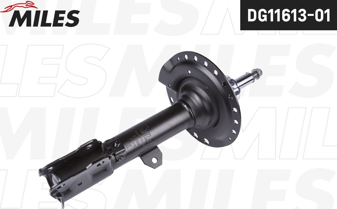 Амортизатор Miles. Артикул DG11613-01