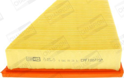 Воздушный фильтр Champion для SEAT Ibiza III 2007-2008. Артикул CAF100715P
