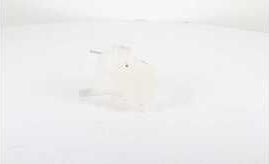 Расширительный бачок BSG (полипропилен) для Opel Zafira A 1999-2005. Артикул BSG 65-550-015