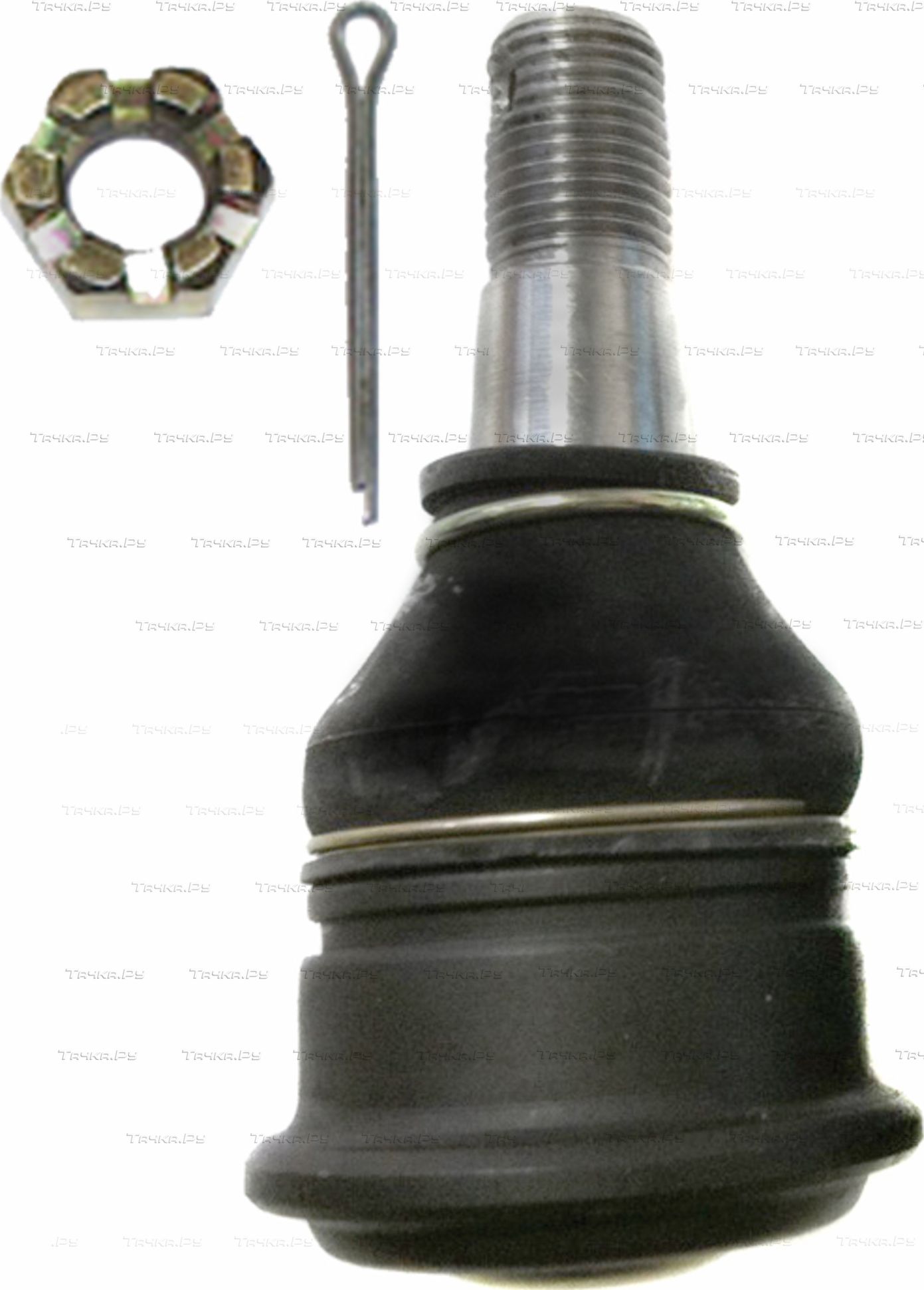 Шаровая опора MAPCO передняя правая/левая нижняя для Nissan Almera N16 2000-2006. Артикул 19524
