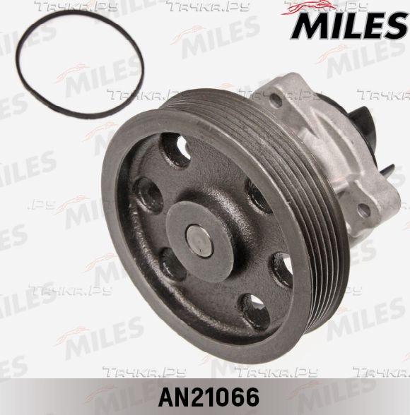 Помпа (водяной насос) Miles для Fiat Punto III Punto 2012-2018. Артикул AN21066