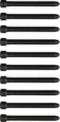 Комплект болтов ГБЦ Victor Reinz для Audi A4 I (B5) 1994-2001. Артикул 14-32052-01