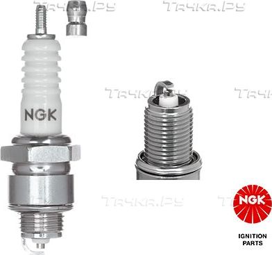 Свеча зажигания NGK для Triumph TR6 1972-1976. Артикул 7529