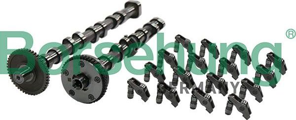 Распредвал комплект Borsehung. Артикул B12995