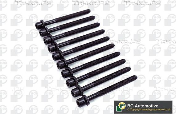 Комплект болтов ГБЦ BGA для SEAT Toledo II 1998-2004. Артикул BK5346