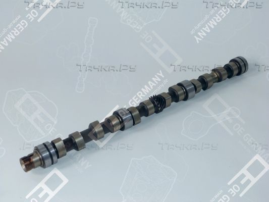 Распредвал OE Germany. Артикул 01 0500 366001