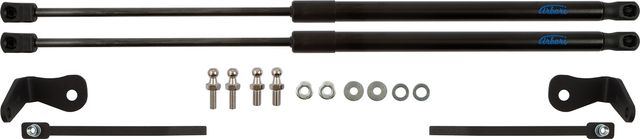 Амортизаторы (упоры) капота Arbori для Ford Focus II 2004-2008. Артикул ARBORI.HD.012103