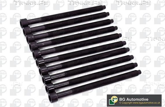 Комплект болтов ГБЦ BGA для Ford Galaxy I 2000-2006. Артикул BK4365