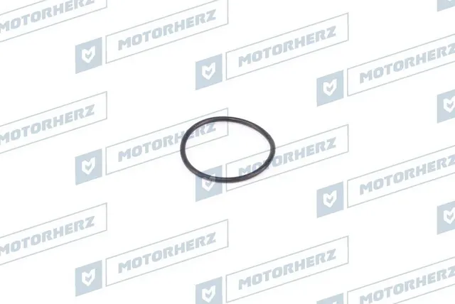 Кольцо рулевой рейки (Motorherz). Артикул HR0018