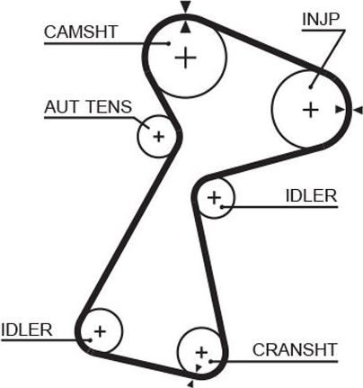 Ремень ГРМ Gates (HNBR (Hydrierter Acryl-Nitril-Butadien-Kautschuk)). Артикул 5561XS