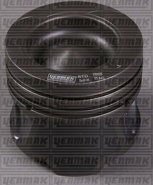 Поршень Yenmak для Renault Fluence I 2010-2017. Артикул 31-04181-050