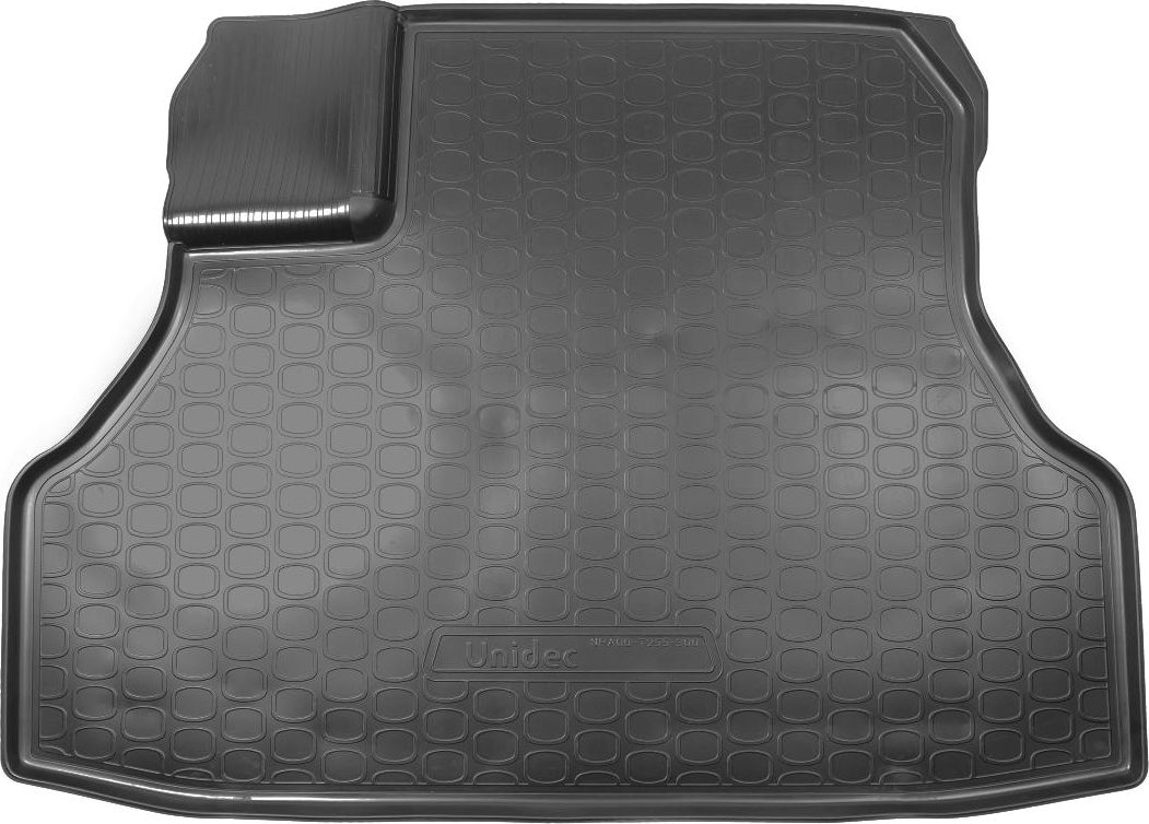 Коврики Норпласт для багажника Evolute i-Pro 2022-2026. Артикул NPA00-T255-300