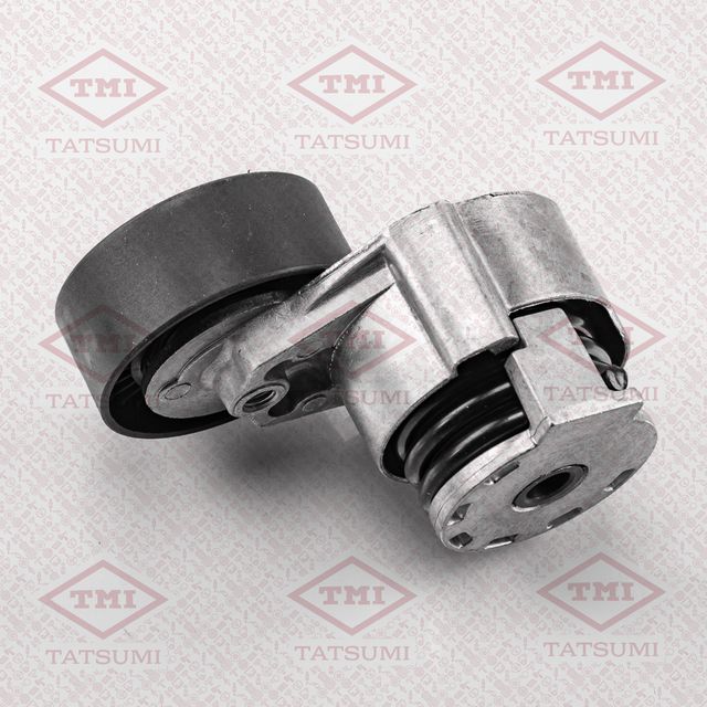 Ролик ремня приводного RENAULT LOGAN/MEGANE 1.5DCi/1.6 16v без конд (Tatsumi). Артикул TFD1076