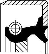 Сальник Corteco (АСМ (полиакриловый каучук)). Артикул 19027906B