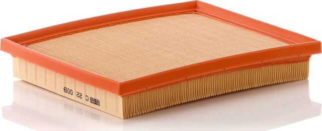 Воздушный фильтр Mann-Filter для Lexus CT I 2010-2018. Артикул C 22 009