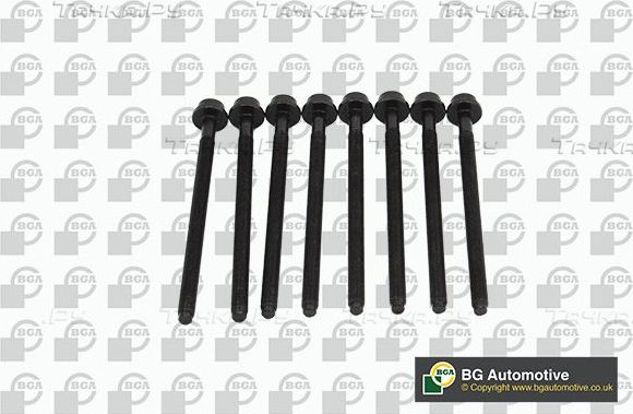 Комплект болтов ГБЦ BGA для SEAT Toledo IV 2017-2019. Артикул BK0104